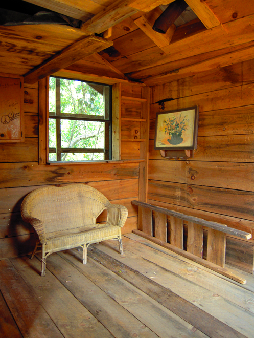 ministers-treehouse6